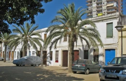 04 mataro