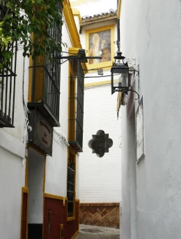 11 sevilla