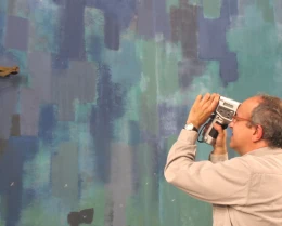 Pintures Murals Llars Mundet