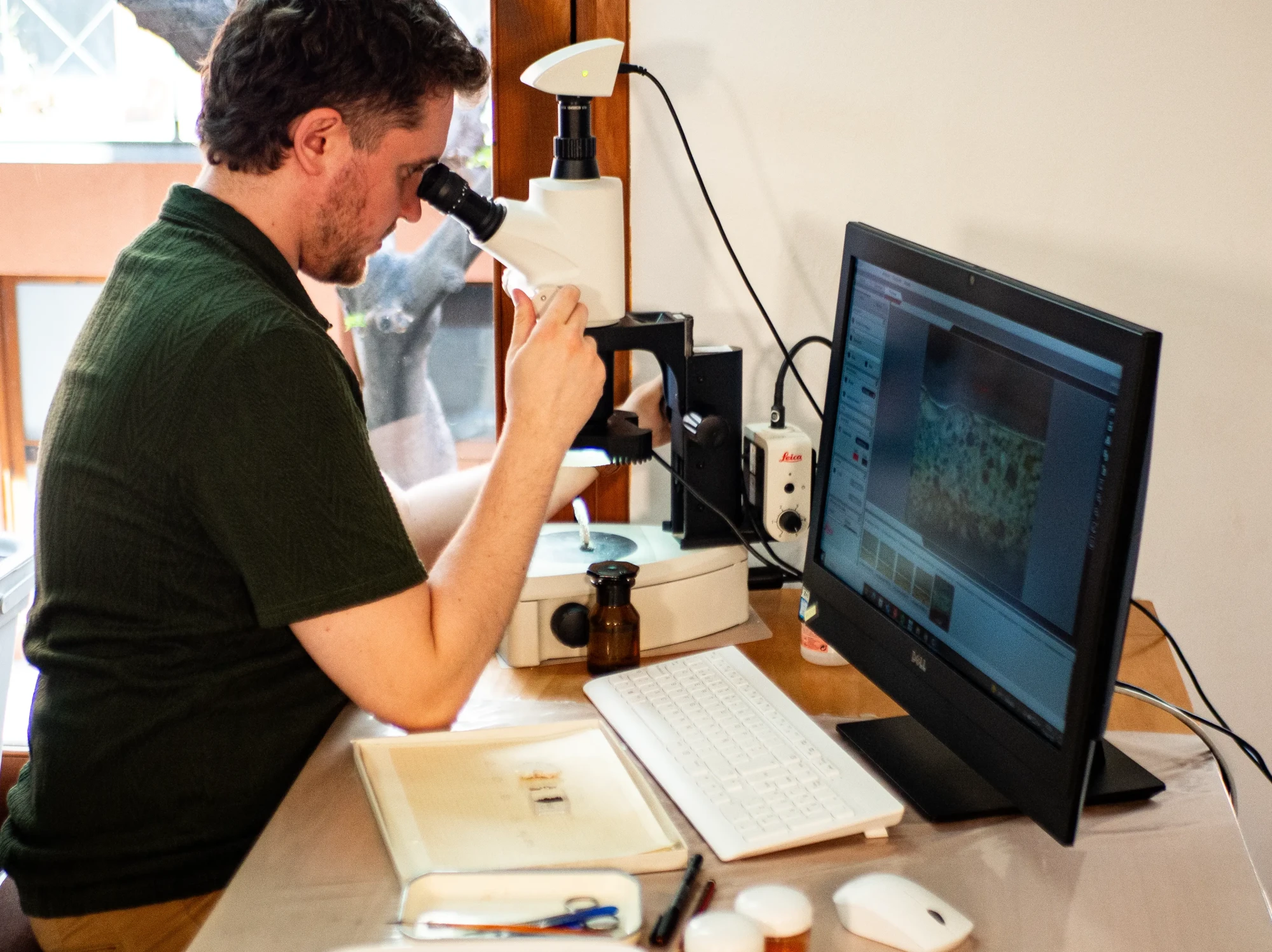 anàlisi al laboratori