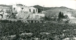 pla especial horta 3