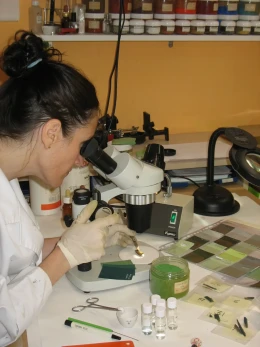 ec hospitalsantpau 18