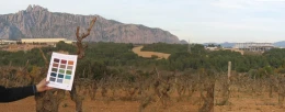 ecoparc 01