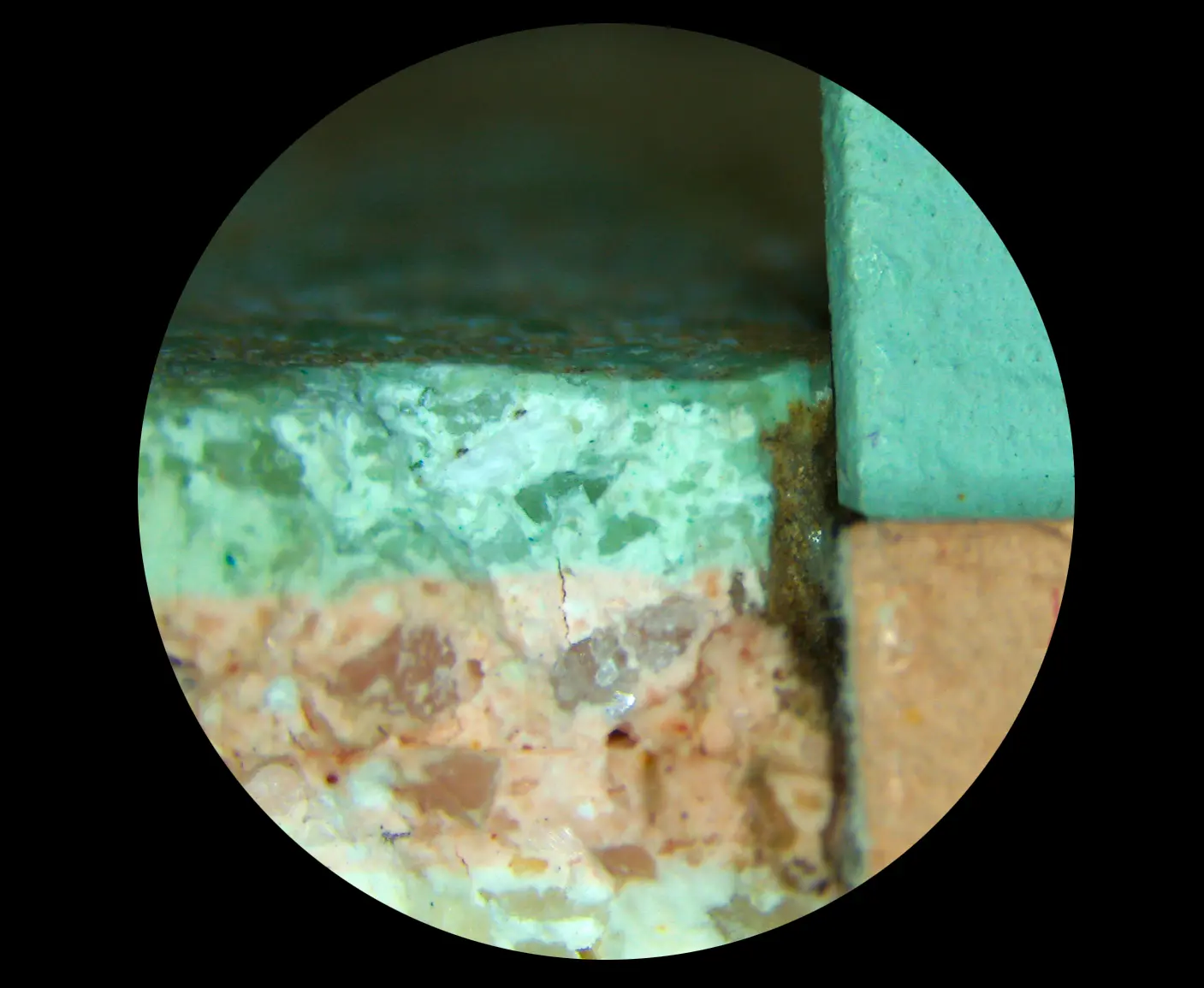 12525 micrografia
